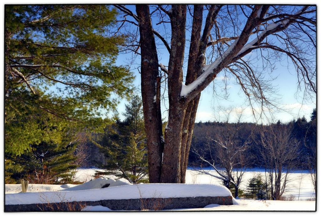 Pleasant Mountain Inn Bridgton Экстерьер фото